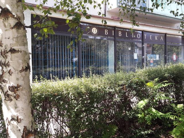 Widok na witrynę biblioteki. Na pierwszym planie pień brzozy i żywopłot.
