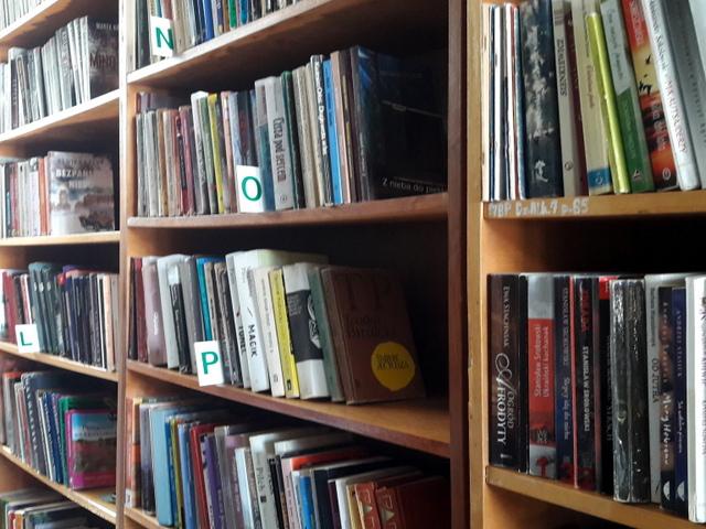 Książki na regale bibliotecznym
