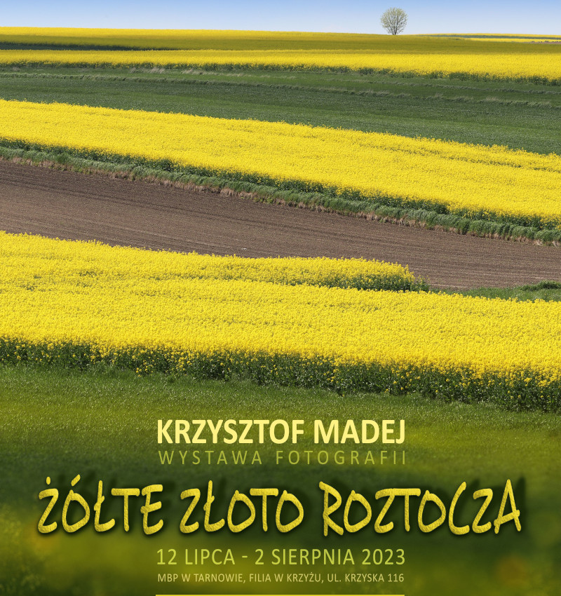 Ciągnące się po horyzont żółte i zielone pola