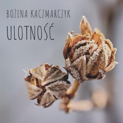 Fotografia suchych pędów kwiatowych