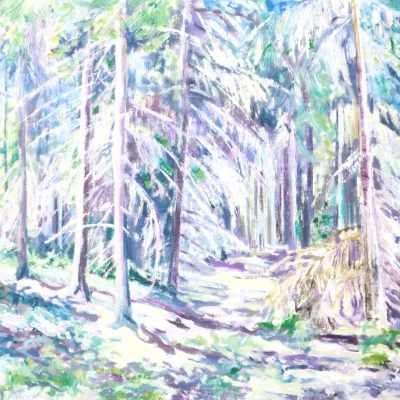 Las w blasku słońca