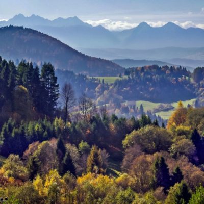 Górski pejzaż: z lewej strony fragment drogi w otoczeniu drzew, w tle przenikające się pasma górskie.